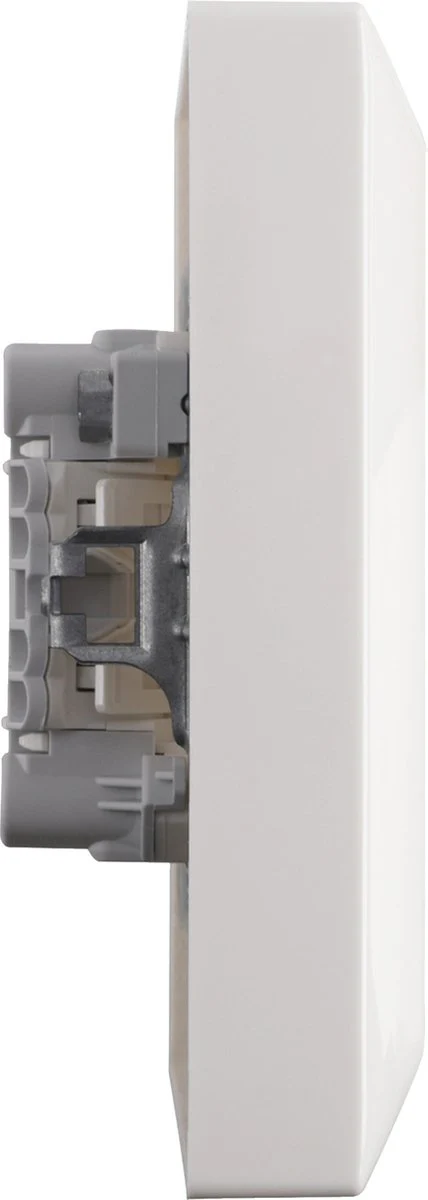 Busch-Jaeger stopcontactdoos 2-voudig randaarde polar wit - Image 3