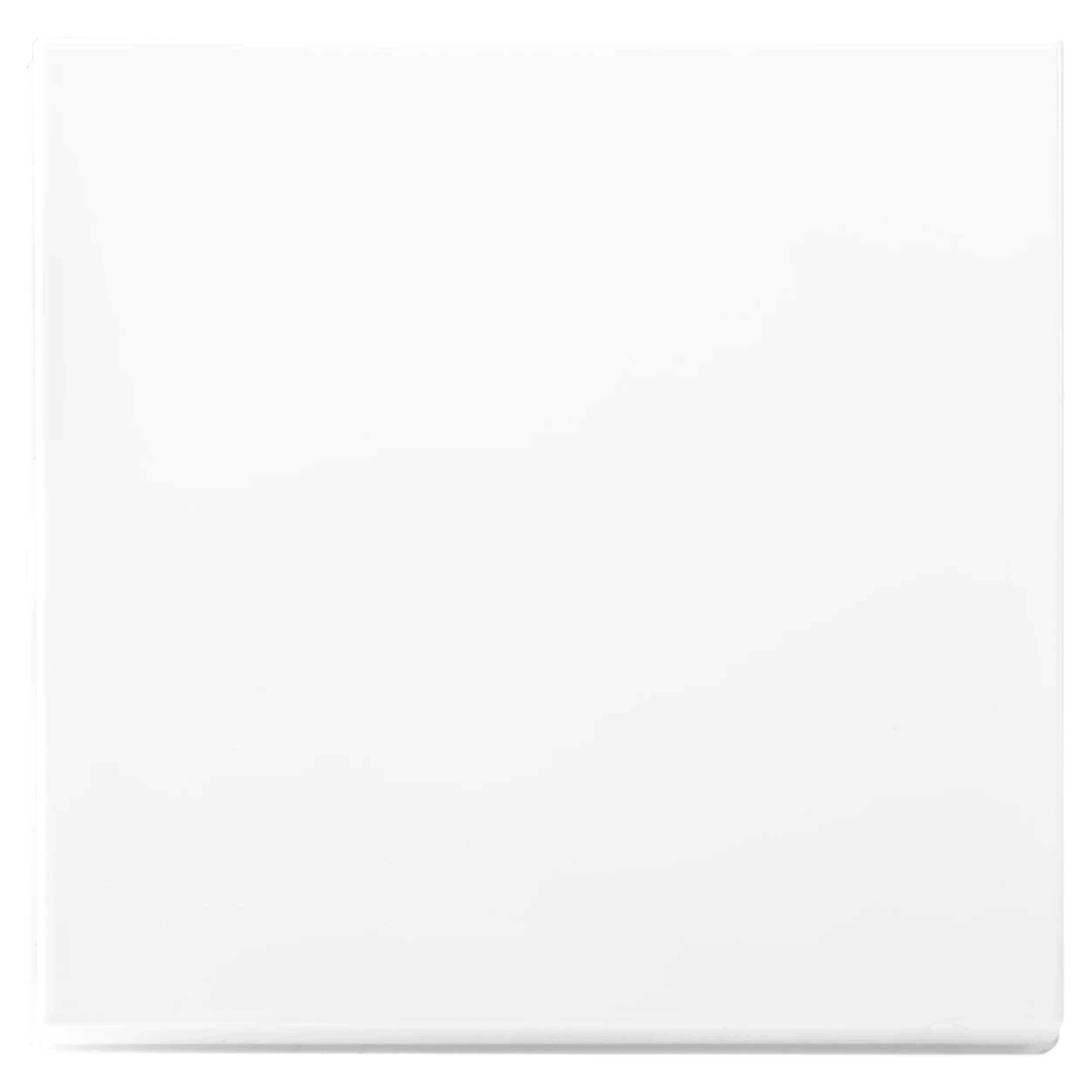 ION Industries inbouw tastdimmertoets alpinewit - Image 3