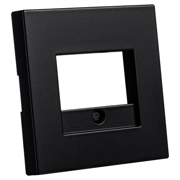 ION Industries V1/J1 centraalplaat TAE/uae/USB zwart - Image 2