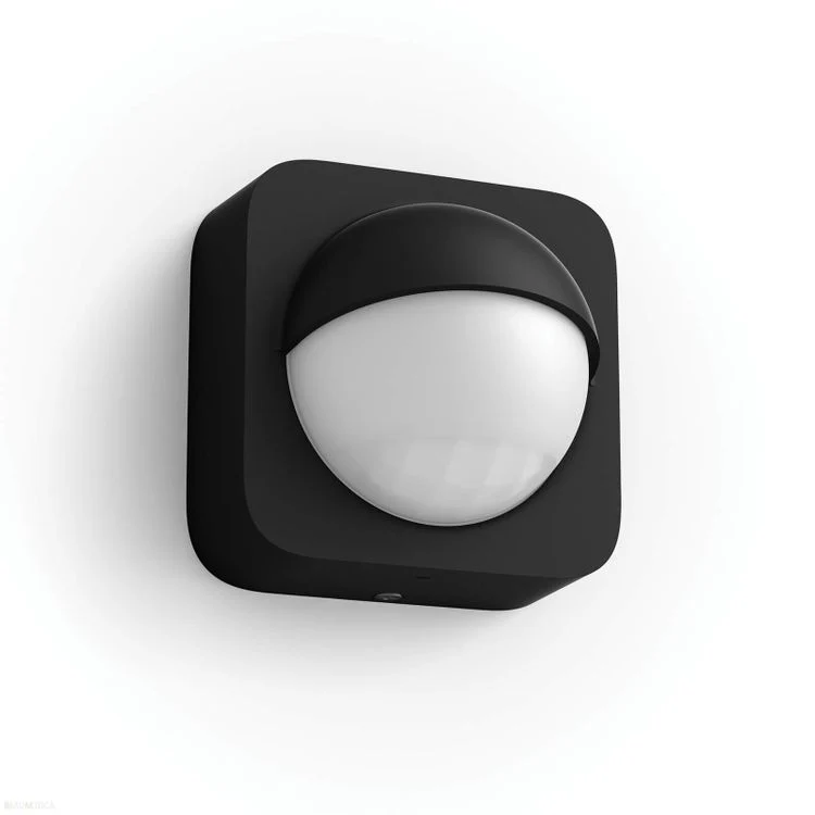 Miniatuur 1