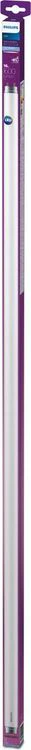 Philips T8 LED TL buis G13 16W koudwit 121,2cm - Image 3