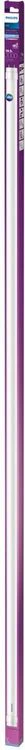 Philips T8 LED TL buis G13 20W koudwit 151,3cm - Image 3