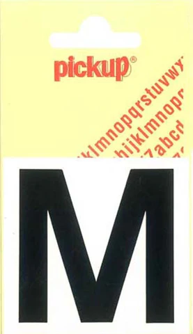 Miniatuur 1