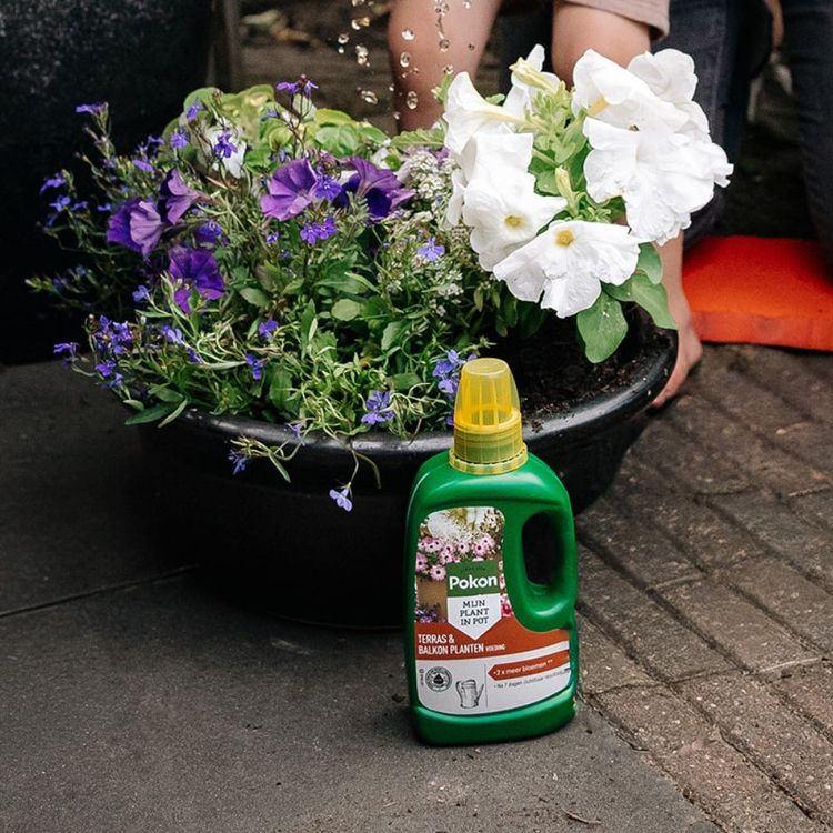 Pokon Terras & balkon planten voeding 1L - Image 3