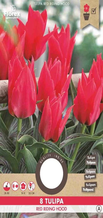 Miniatuur 1